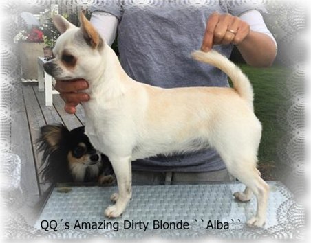 QQ´s Amazing Dirty Blonde ``Alba``